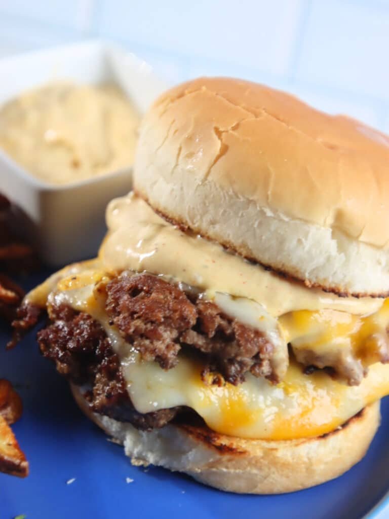 Burger on plate with fries and Big Mac Sauce